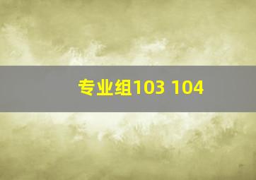 专业组103 104